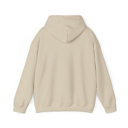 Kawaii Arctic Fox Hoodie, Cute Gift Box Sweatshirt