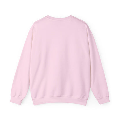 Kawaii Red Panda Skateboarding Sweatshirt, Cute Animal Gift