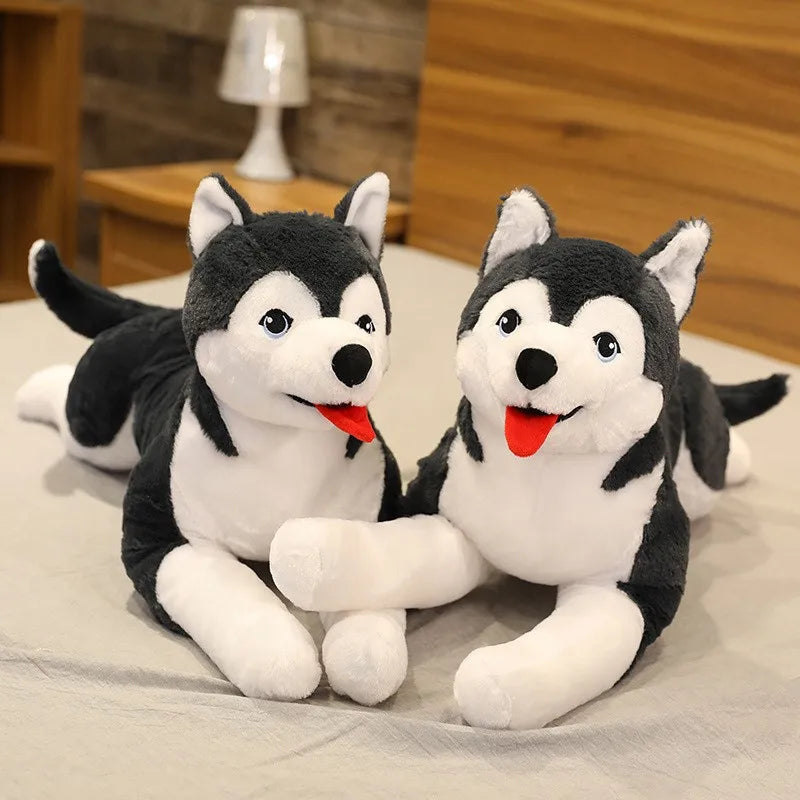 65cm kawaii husky plush lying flat showing full length and two-toned fur