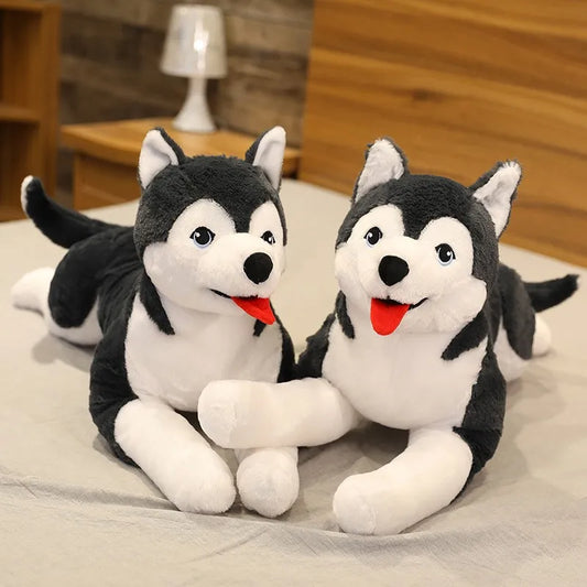 65cm kawaii husky plush lying flat showing full length and two-toned fur