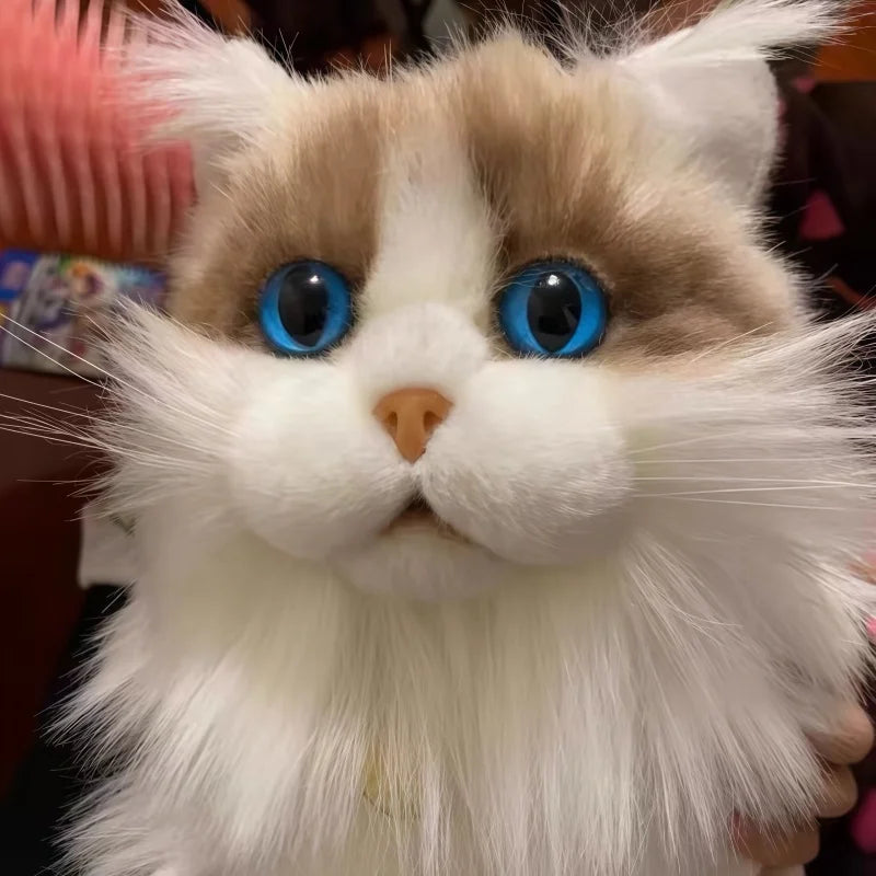 Close-up of Ragdoll plush cat face showing realistic eye and fur detail