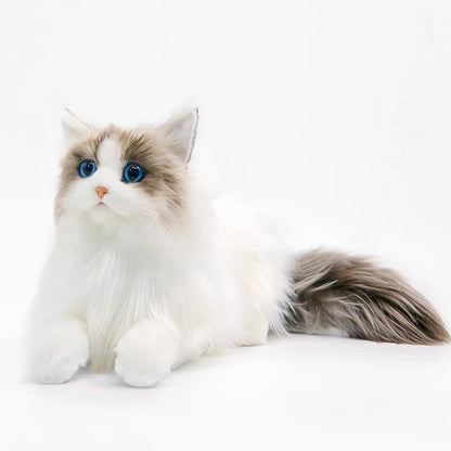 CE certified soft cat plush doll packaging and product detail view