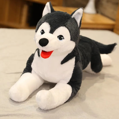 Front face close-up of kawaii husky stuffed dog with realistic eye detail